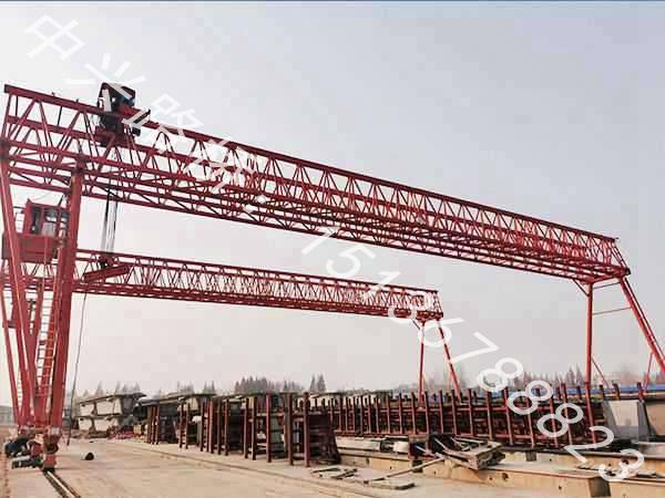 湖北隨州廠家分享導(dǎo)致花架龍門吊鏈條銹蝕的因素